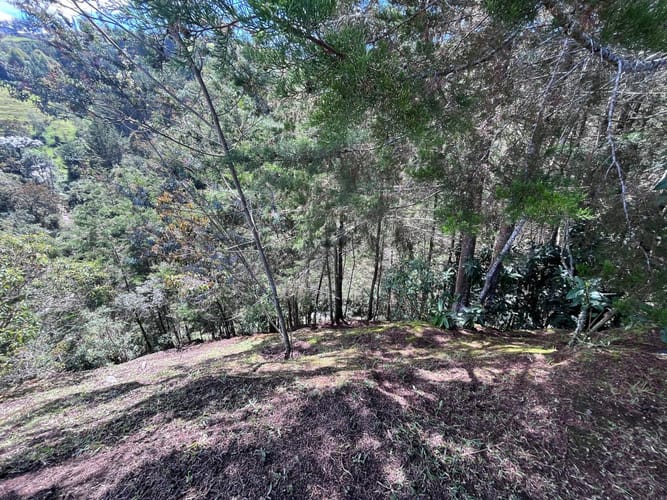 Lote en venta en Pantanillo, El Retiro, 2606 m² · foto 4 de 5