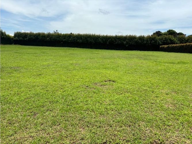 Lote en venta en Llano Grande, Rionegro, 3314 m² · foto 5 de 12