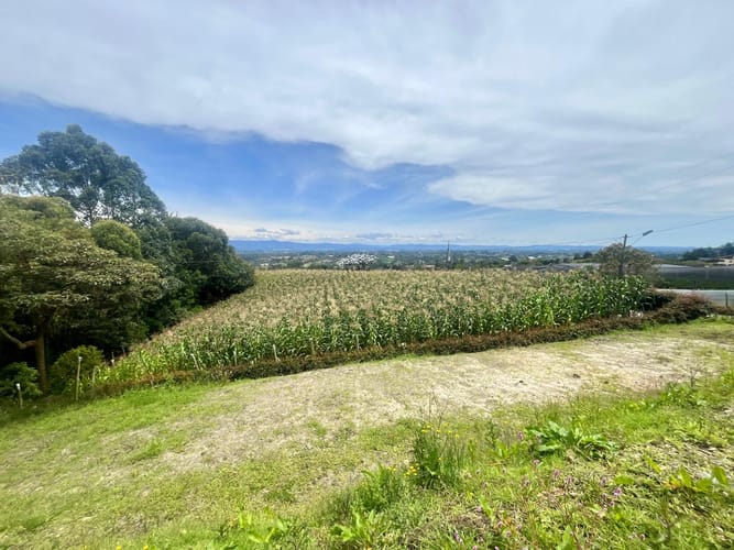 Lote en venta en Campo Alegre, El Carmen de Viboral, 4113 m² · foto 5 de 5