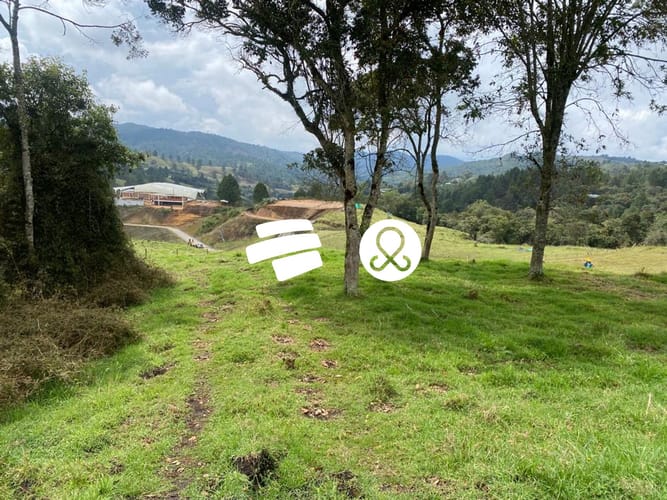 Lote en venta en La Francia, Medellín, 2945 m² · foto 2 de 23