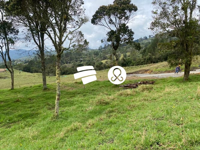Lote en venta en La Francia, Medellín, 2945 m² · foto 3 de 23