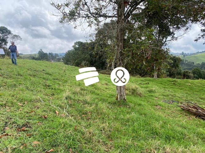 Lote en venta en La Francia, Medellín, 2945 m² · foto 6 de 23