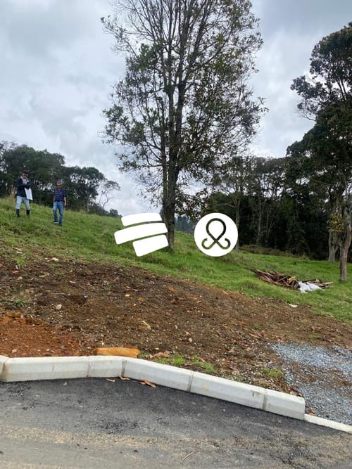 Lote en venta en La Francia, Medellín, 2945 m² · foto 11 de 23