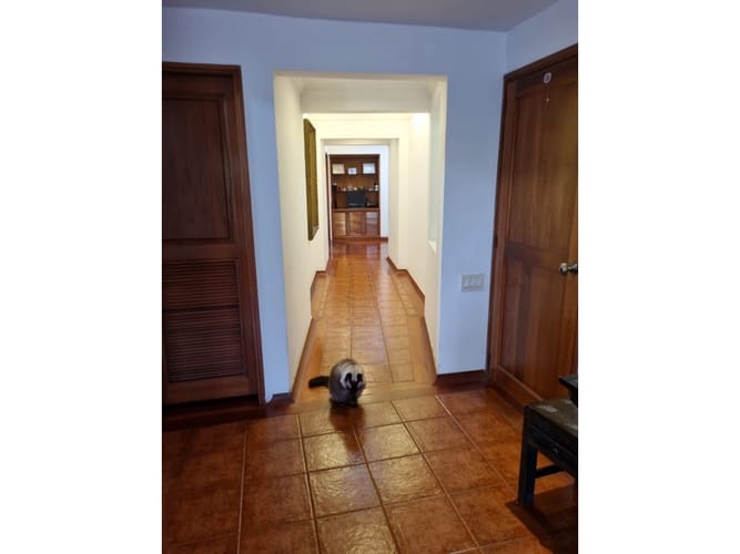 Casa de 3 alcobas en venta en Cerritos, Pereira, 840 m² · foto 20 de 24