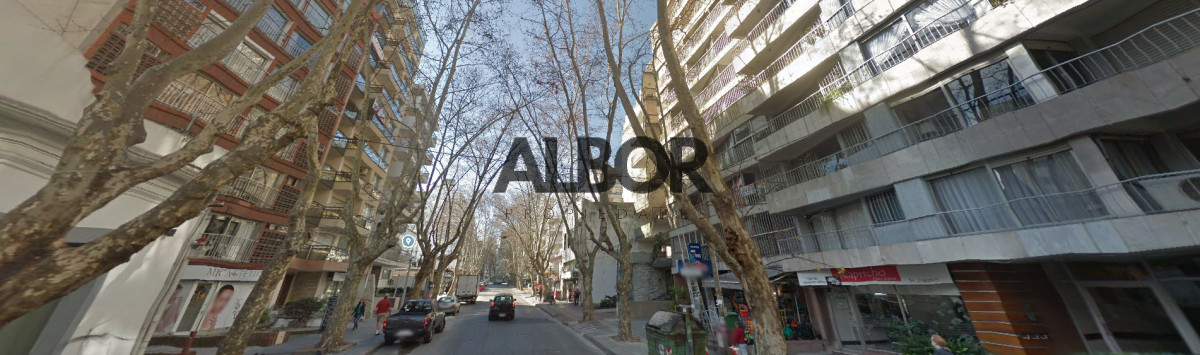 Alquiler local comercial al frente 319 m² - Pocitos · Foto 12