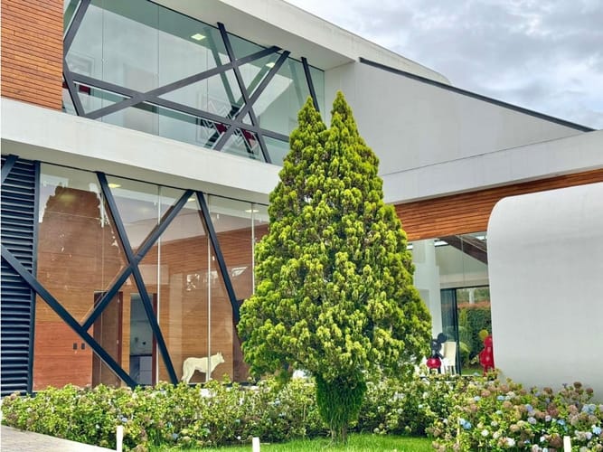 Casa de 4 alcobas en venta en Las Palmas, Envigado, 896 m² · foto 2 de 24