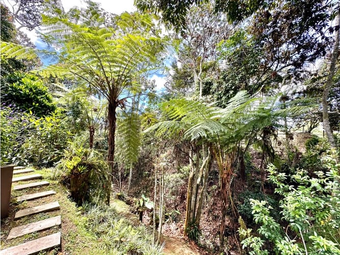 Casa de 3 alcobas en venta en Guamito, La Ceja, 325 m² · foto 16 de 24