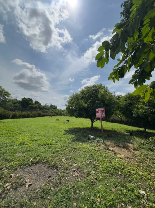 Lote en venta en La Ceiba, Montería, 2000 m² · foto 2 de 8
