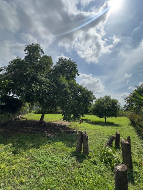 Lote en venta en La Ceiba, Montería, 2000 m² · foto 3 de 8