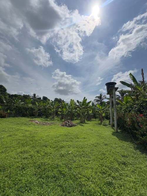 Lote en venta en La Ceiba, Montería, 2000 m² · foto 4 de 8