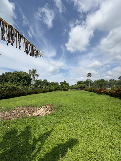 Lote en venta en La Ceiba, Montería, 2000 m² · foto 5 de 8