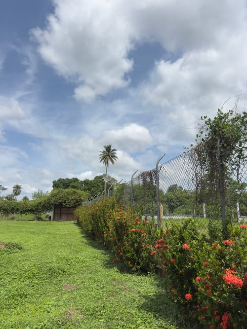 Lote en venta en La Ceiba, Montería, 2000 m² · foto 8 de 8