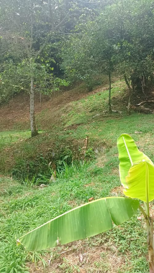 Lote en venta en La Buitrera, Cali · foto 22 de 24