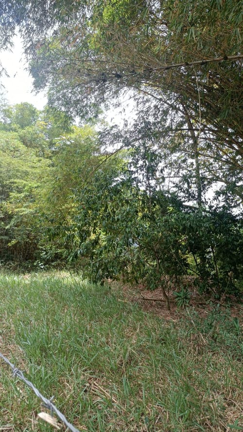 Lote en venta en La Buitrera, Cali · foto 9 de 24