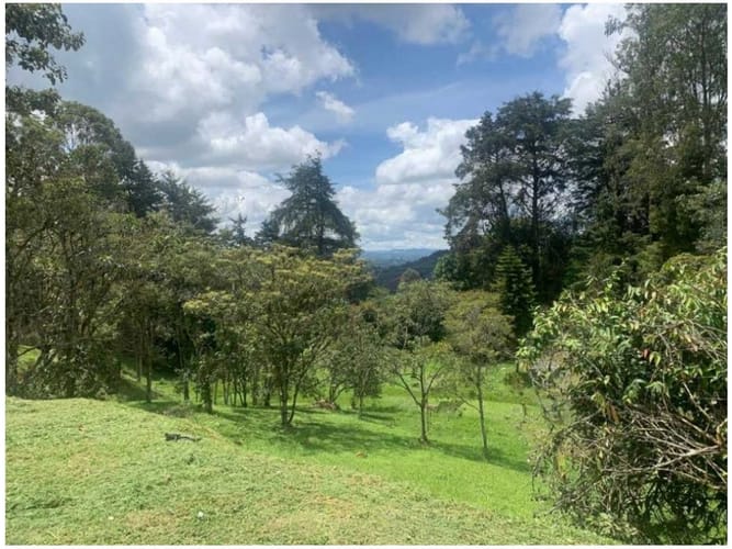 Finca en venta en Centro, Rionegro, 263 m² · foto 7 de 11
