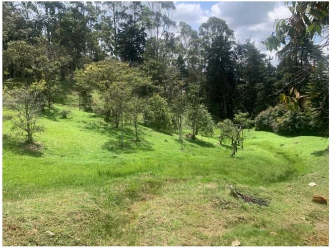 Finca en venta en Centro, Rionegro, 263 m² · foto 9 de 11