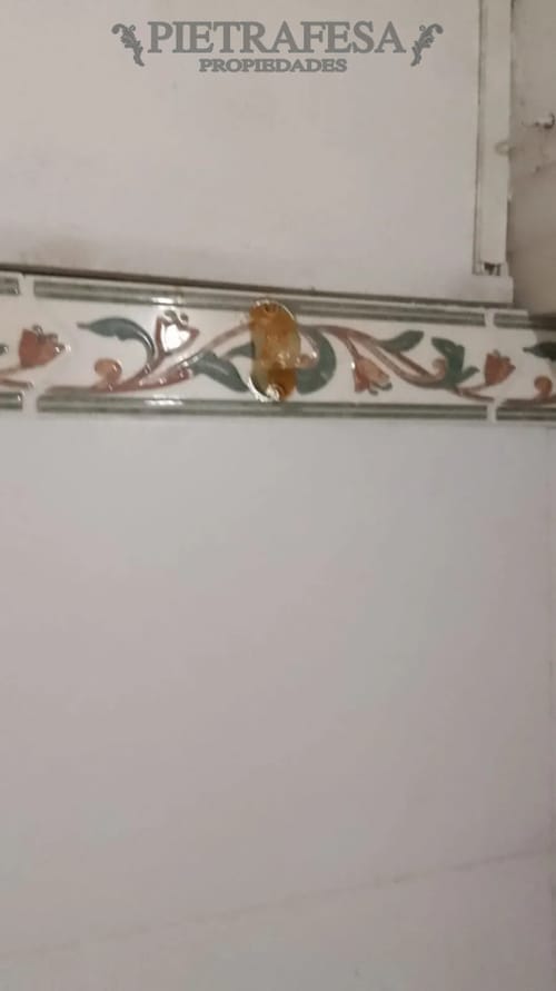 Apartamento en alquiler, 1 dormitorio, 1 baño, cochera. Solymar. · Foto 8