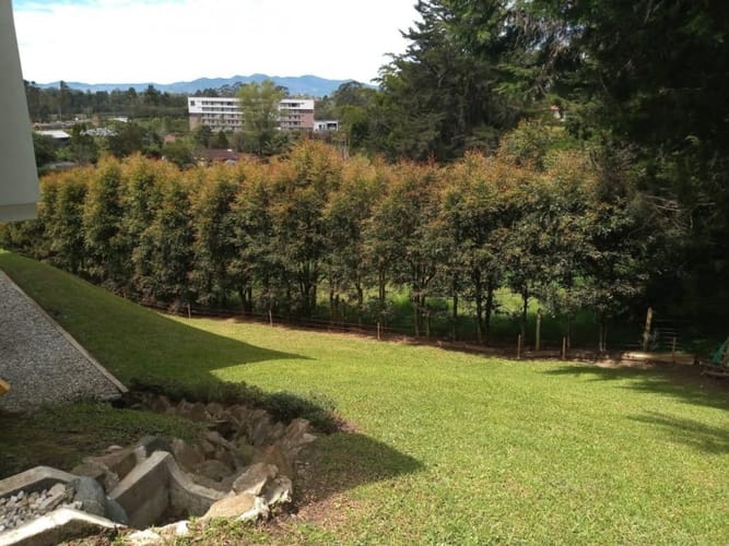Finca en venta en El Tablazo, Rionegro, 4531 m² · foto 5 de 17