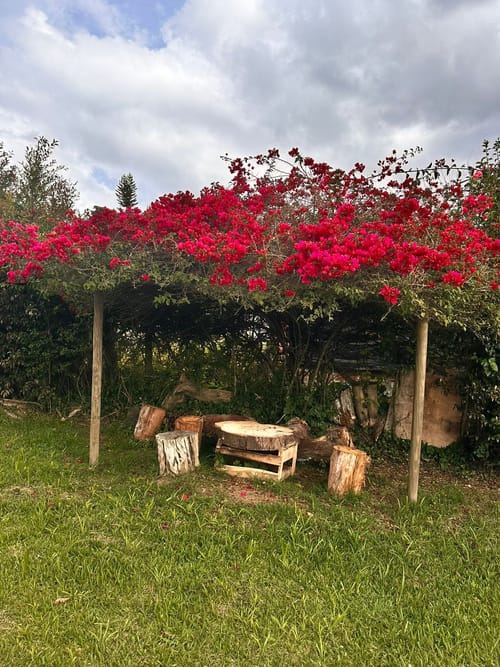 Casa de 4 alcobas en venta en Monta�Ez, Guarne · foto 6 de 19