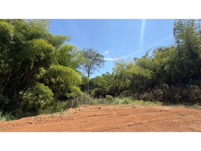 Lote en venta en Alfaguara, Jamundí, 7100 m² · foto 7 de 24