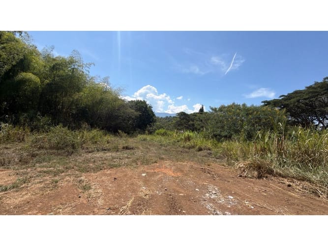 Lote en venta en Alfaguara, Jamundí, 7100 m² · foto 8 de 24