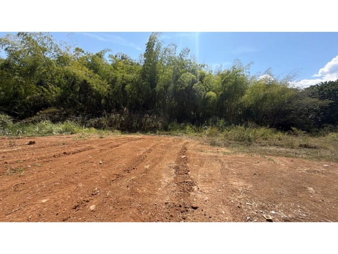 Lote en venta en Alfaguara, Jamundí, 7100 m² · foto 11 de 24