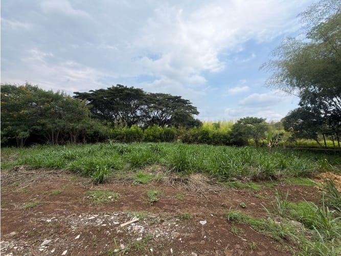 Lote en venta en Alfaguara, Jamundí, 7100 m² · foto 16 de 24