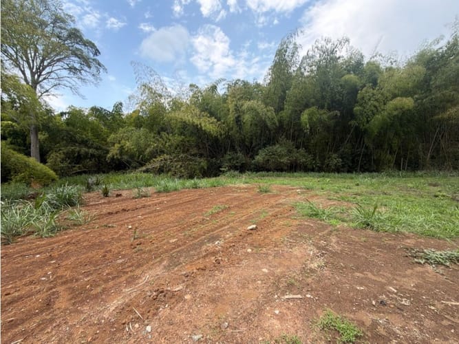 Lote en venta en Alfaguara, Jamundí, 7100 m² · foto 17 de 24