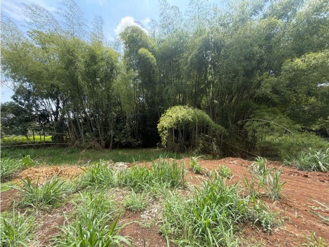 Lote en venta en Alfaguara, Jamundí, 7100 m² · foto 19 de 24