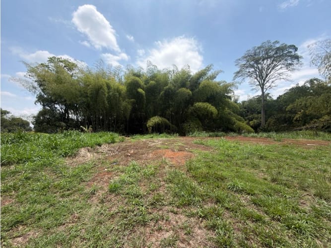 Lote en venta en Alfaguara, Jamundí, 7100 m² · foto 21 de 24