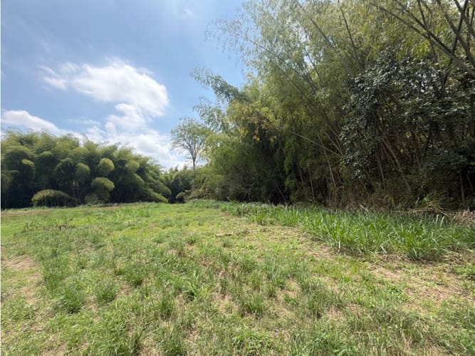 Lote en venta en Alfaguara, Jamundí, 7100 m² · foto 23 de 24