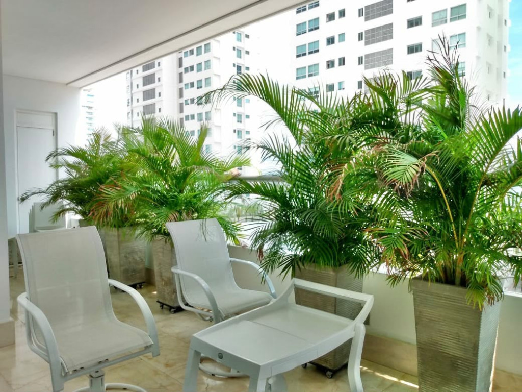 Apartamento en venta en Castillogrande, Cartagena · foto 13 de 16