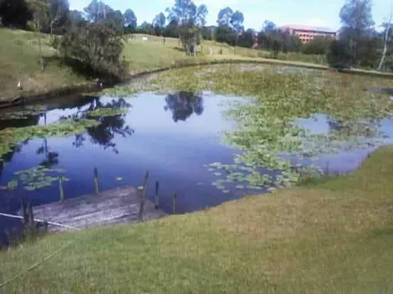 Finca en venta en Tablacito, Rionegro, 55000 m² · foto 2 de 19