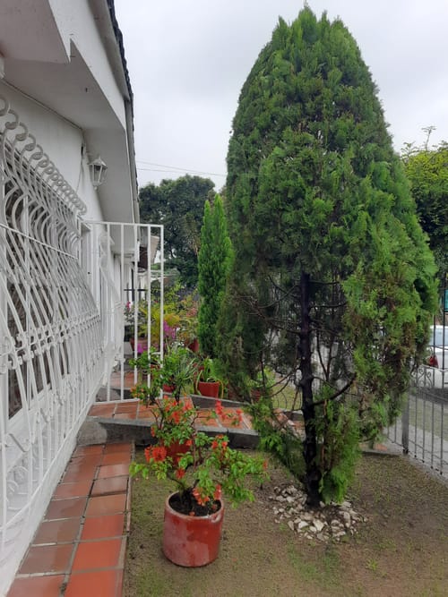 Casa de 4 alcobas en venta en Vipasa, Cali, 264 m² · foto 2 de 16