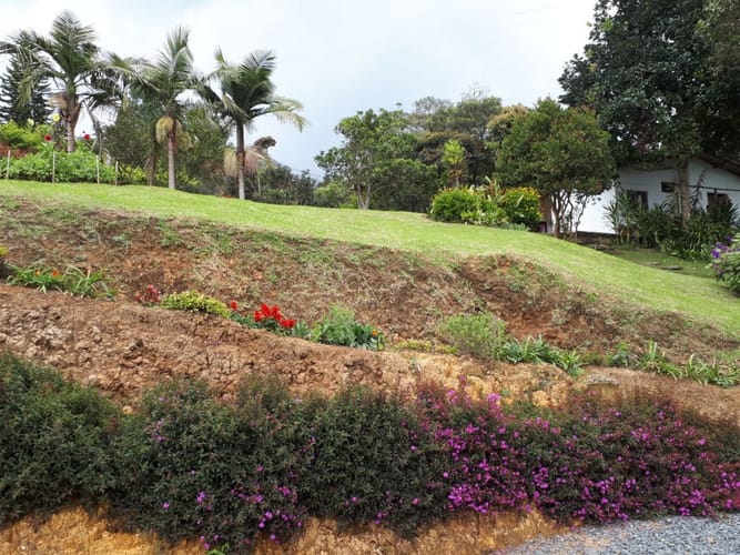 Finca en venta en El Tablazo, Rionegro, 9000 m² · foto 5 de 20