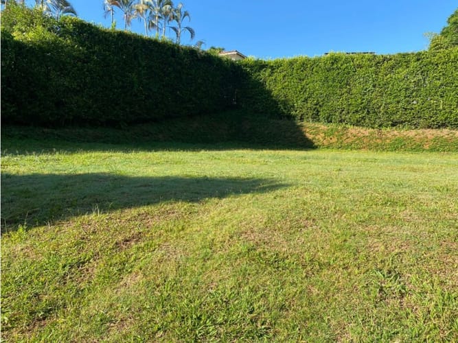Lote en venta en Cerritos, Pereira, 1440 m² · foto 2 de 9