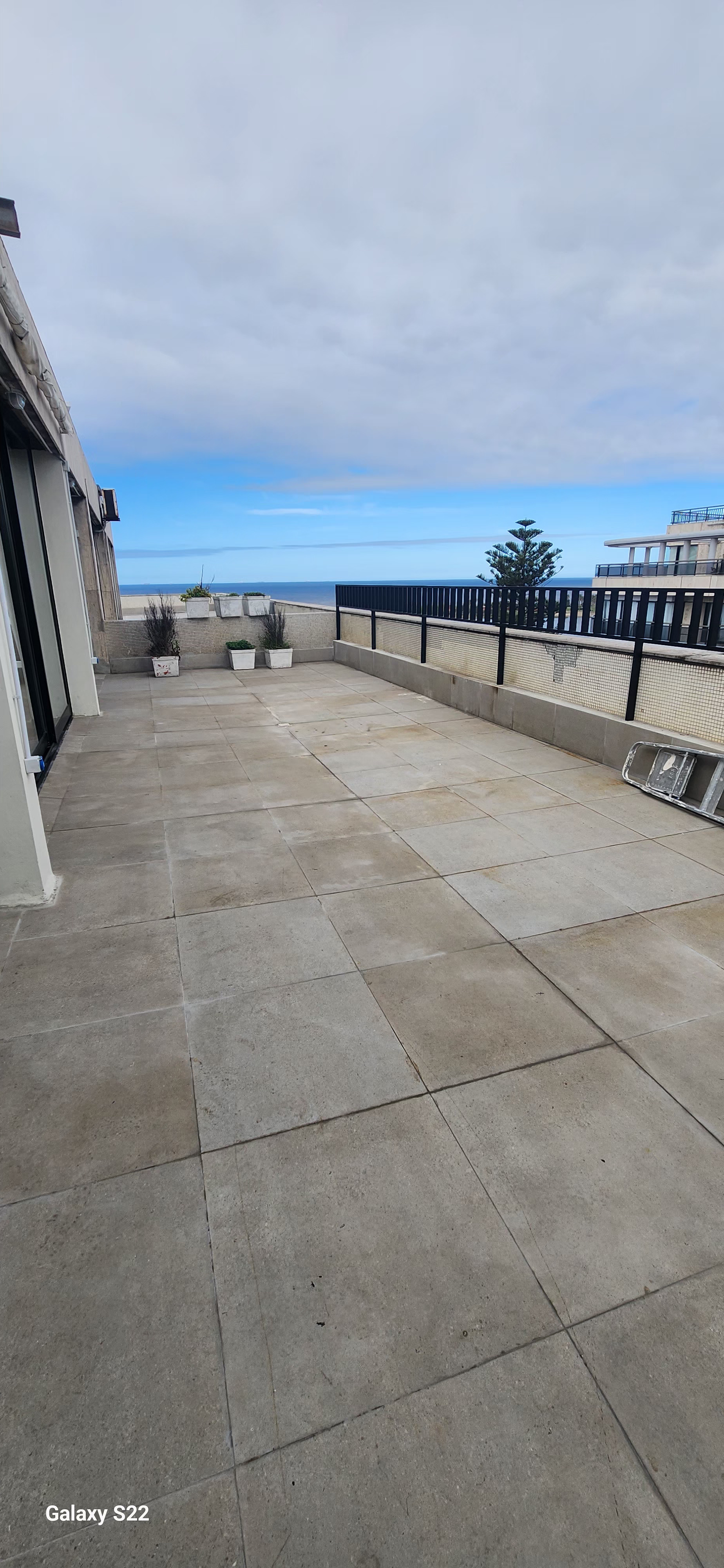 Apartamento en alquiler en Pocitos