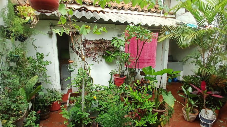 Casa de 4 alcobas en venta en Alameda, Cali, 120 m² · foto 24 de 24