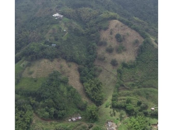 Finca en venta en Combia, Pereira, 50000 m² · foto 6 de 14