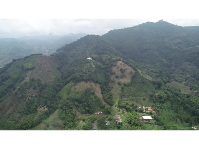 Finca en venta en Combia, Pereira, 50000 m² · foto 8 de 14