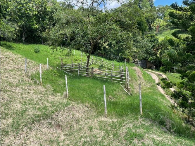 Finca en venta en Combia, Pereira, 50000 m² · foto 9 de 14