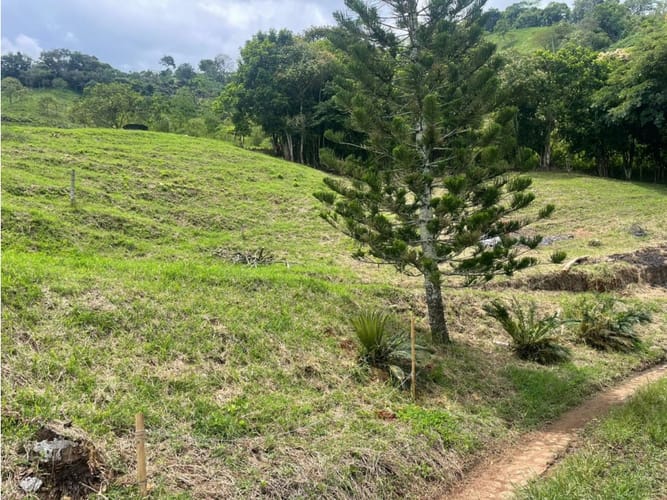 Finca en venta en Combia, Pereira, 50000 m² · foto 10 de 14