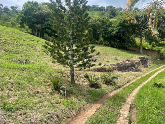 Finca en venta en Combia, Pereira, 50000 m² · foto 11 de 14