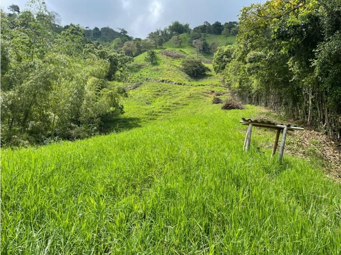Finca en venta en Combia, Pereira, 50000 m² · foto 12 de 14