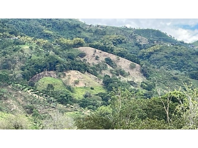 Finca en venta en Combia, Pereira, 50000 m² · foto 13 de 14