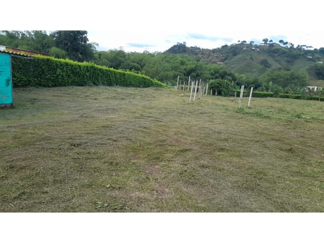 Lote en venta en Combia, Pereira, 3867 m² · foto 7 de 12