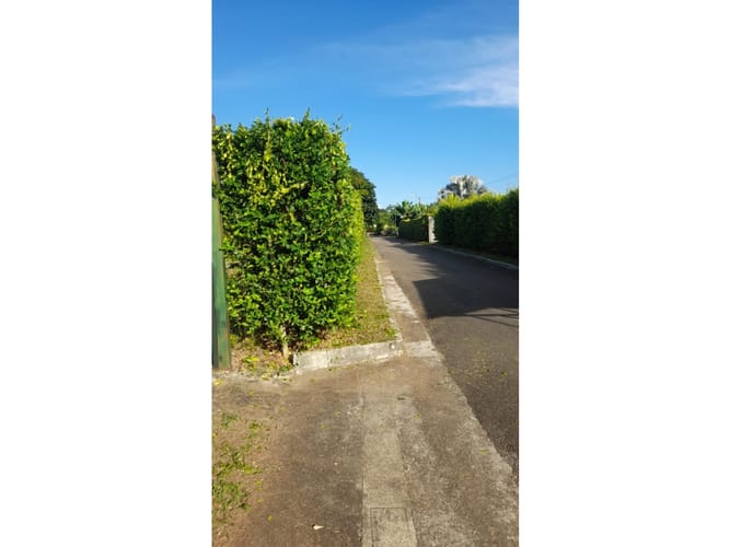 Lote en venta en Combia, Pereira, 3867 m² · foto 8 de 12