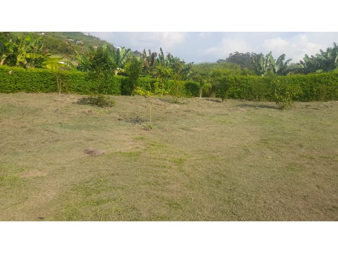 Lote en venta en Combia, Pereira, 3867 m² · foto 9 de 12