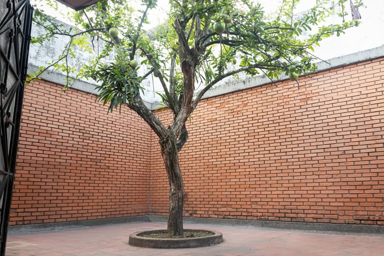 Local en arriendo en Las Mercedes, Palmira, 556 m² · foto 12 de 17