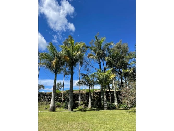 Casa de 5 alcobas en venta en Quirama, Rionegro, 300 m² · foto 8 de 21